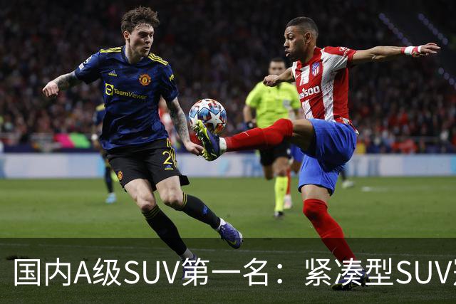 国内A级SUV第一名：紧凑型SUV冠军车，9个月时间销量破14万台
