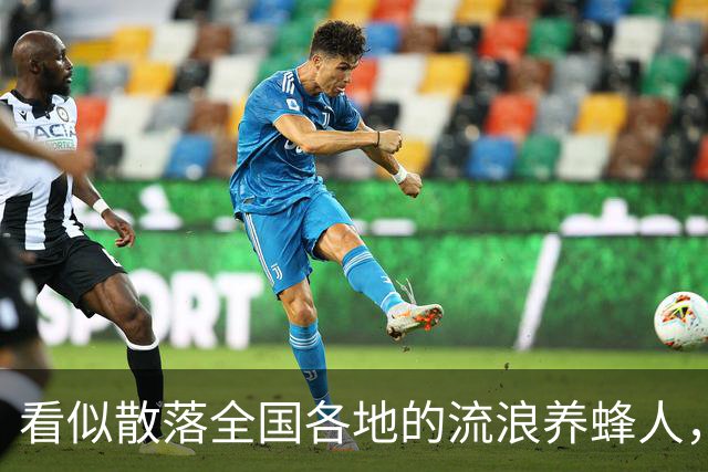 看似散落全国各地的流浪养蜂人，五千人都来自同个浙江小县城